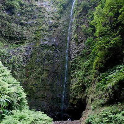 Levada Caldeirão verde mytaximadeira.com