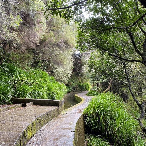 PR 18 - Levada do Rei
