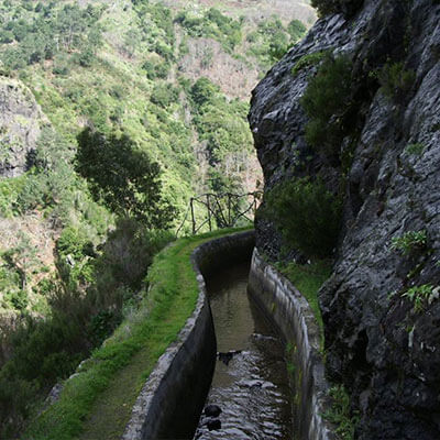 Levada transfers - Norte