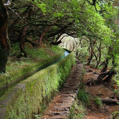 Levada do Rabaçal Madeira